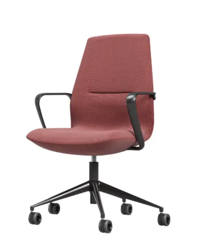 SYNUA Padded Executive Chair - Medium  Backrest