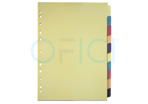 [10036] Dividers Cardboard 10 col DC2 10036